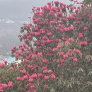 遵义旅游 缩略图 6