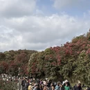 毕节旅游 缩略图 2