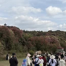 毕节旅游 缩略图 4