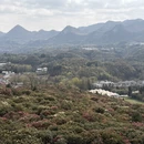 毕节旅游 缩略图 3