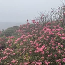 遵义旅游 缩略图 9