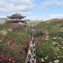 毕节旅游 缩略图 1