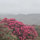 遵义旅游 缩略图 10