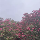 遵义旅游 缩略图 7
