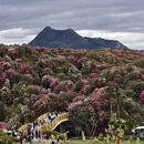 毕节旅游 缩略图 1