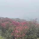 遵义旅游 缩略图 8