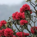 毕节旅游 缩略图 1