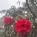 遵义旅游 缩略图 11