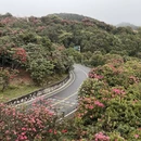 毕节旅游 缩略图 3