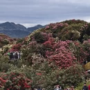 毕节旅游 缩略图 2