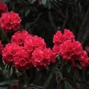 毕节旅游 缩略图 2