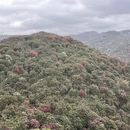 毕节旅游 缩略图 7