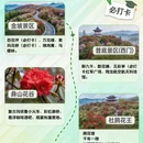 遵义旅游 缩略图 1