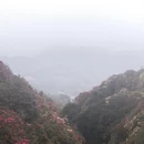 毕节旅游 缩略图 5