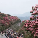 毕节旅游 缩略图 8