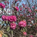 毕节旅游 缩略图 8