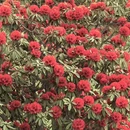 毕节旅游 缩略图 9
