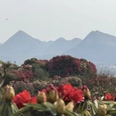 毕节旅游 缩略图 7