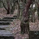 毕节旅游 缩略图 10
