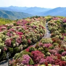 毕节旅游 缩略图 3