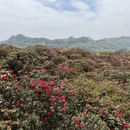 遵义旅游 缩略图 4