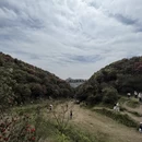 遵义旅游 缩略图 6