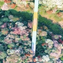 毕节旅游 缩略图 4
