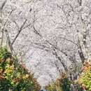宁波旅游 缩略图 5