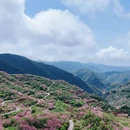 宁波旅游 缩略图 3