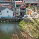 宁波旅游 缩略图 4