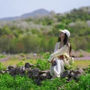 宁波旅游 缩略图 7