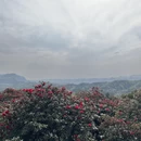 遵义旅游 缩略图 7
