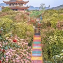 毕节旅游 缩略图 6