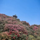 毕节旅游 缩略图 6