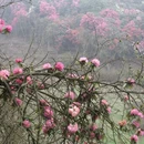 毕节旅游 缩略图 11