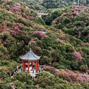 毕节旅游 缩略图 8