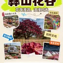 遵义旅游 缩略图 3
