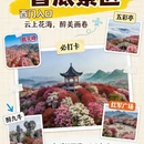 遵义旅游 缩略图 4