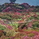 毕节旅游 缩略图 9