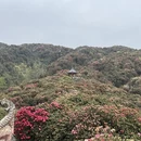 遵义旅游 缩略图 1