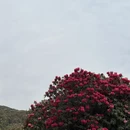 遵义旅游 缩略图 2