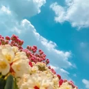 毕节旅游 缩略图 1