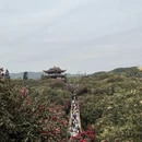 遵义旅游 缩略图 3