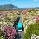 毕节旅游 缩略图 2