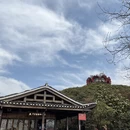 遵义旅游 缩略图 8
