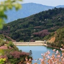 宁波旅游 缩略图 5