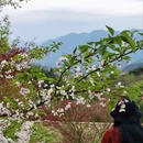 宁波旅游 缩略图 2