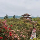 遵义旅游 缩略图 1
