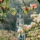 遵义旅游 缩略图 5