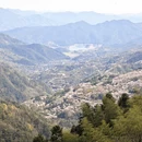 宁波旅游 缩略图 1